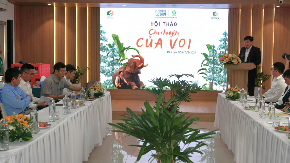 tai_hoi_thao_dai_bieu_cung_danh_gia_lai_hieu_qua_sau_thoi_gian_thuc_hien_cac_mo_hinh_du_lich_than_thien_voi_voi.jpg