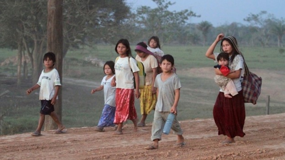 trai_tim_khoe_manh.jpg