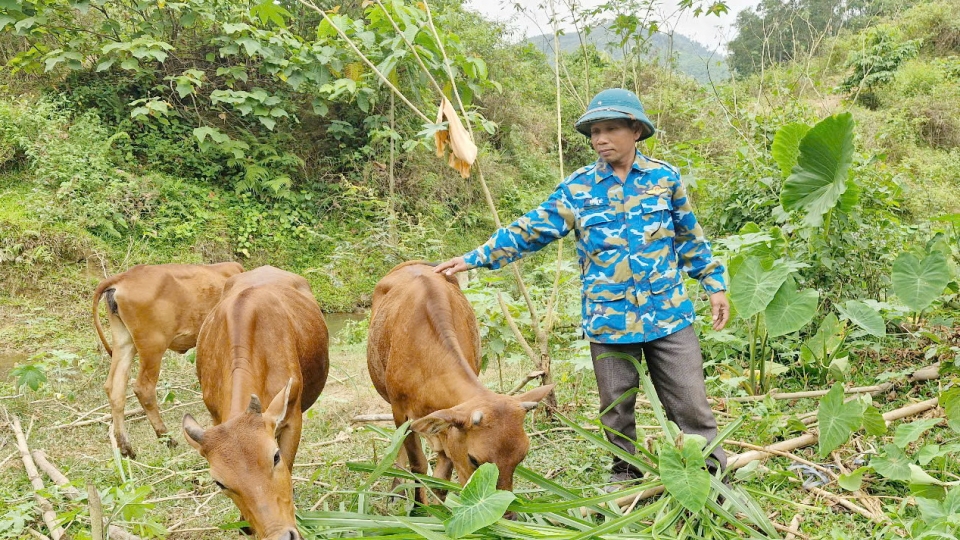 _nho_chan_nuoi_trong_cay_an_qua_ong_ka_phu_beng_o_huyen_nam_giang_da_thoat_ngheo_.jpg