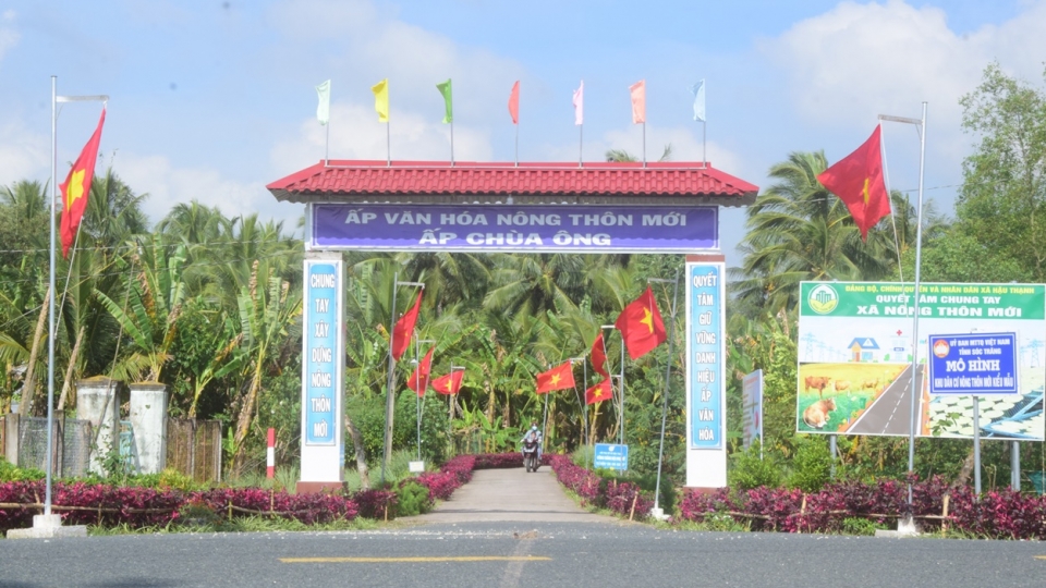 a1.jpg