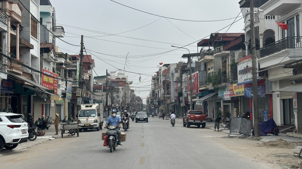cay_xanh_10.jpg