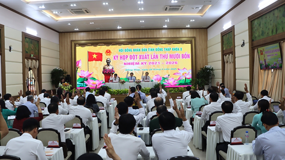 dai_bieu_hdnd_tinh_dong_thap_bieu_quyet_thong_qua_20250428142121.jpg