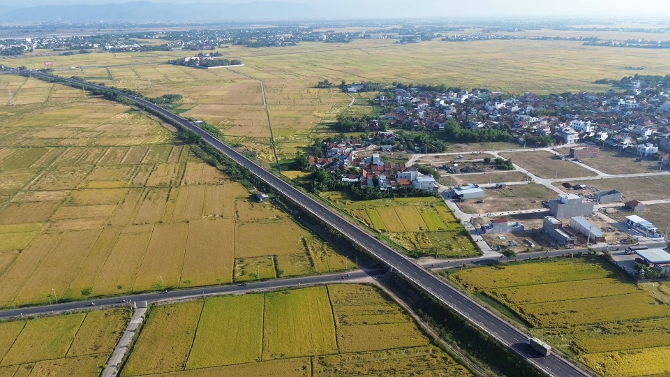 dong_lua_tuy_hoa_20250418055945.jpg