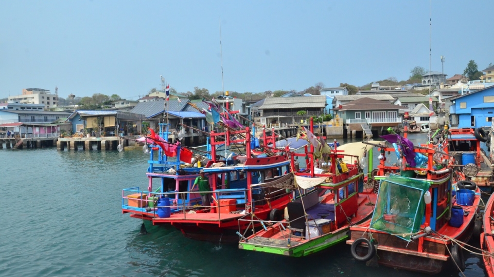 dsc_6705.jpg