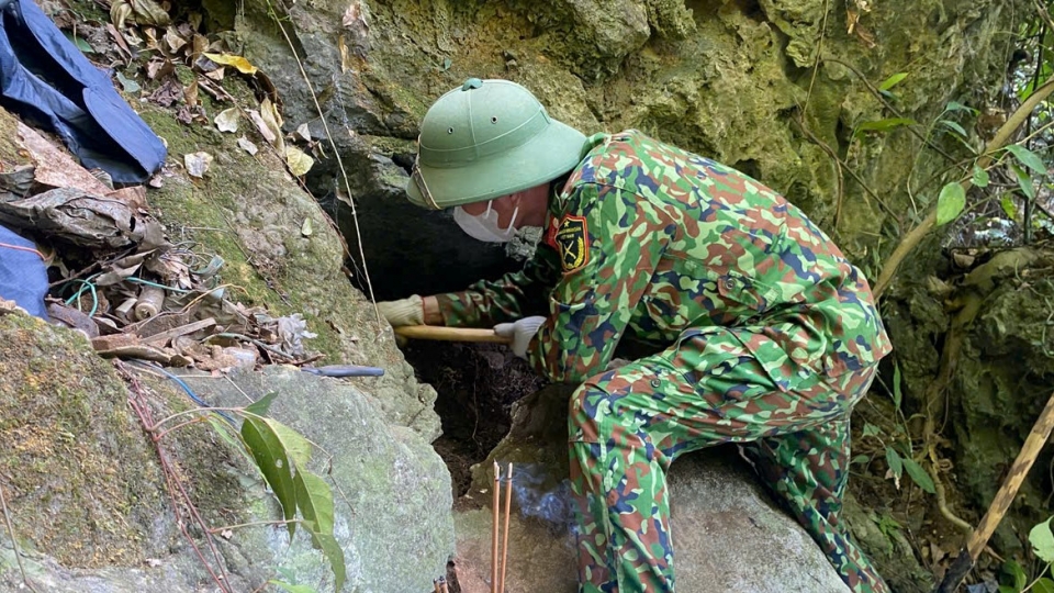 hai_cot_duoc_phat_hien_nam_trong_hang_da.jpg