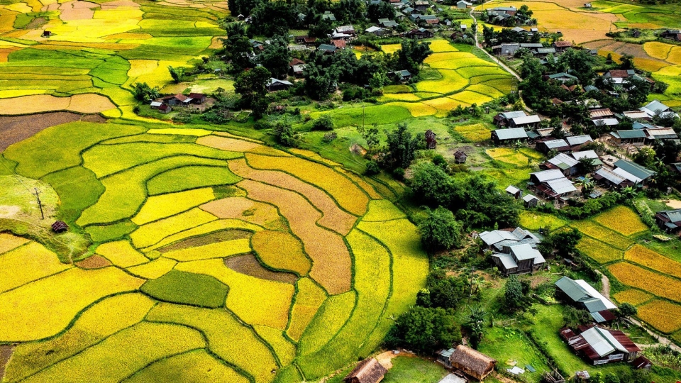 măng đen vận hội vươn khơi.jpg