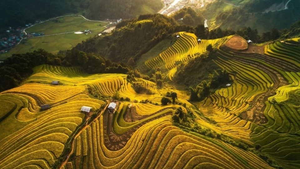 terraced fields.jpg