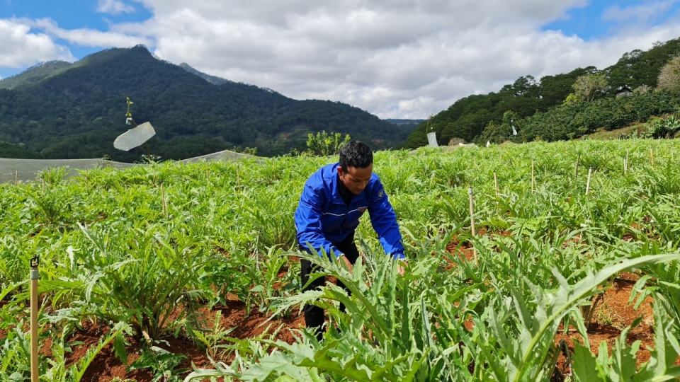 Lam Dong phat trien dang vien uu tu nguoi DTTS 2.jpg
