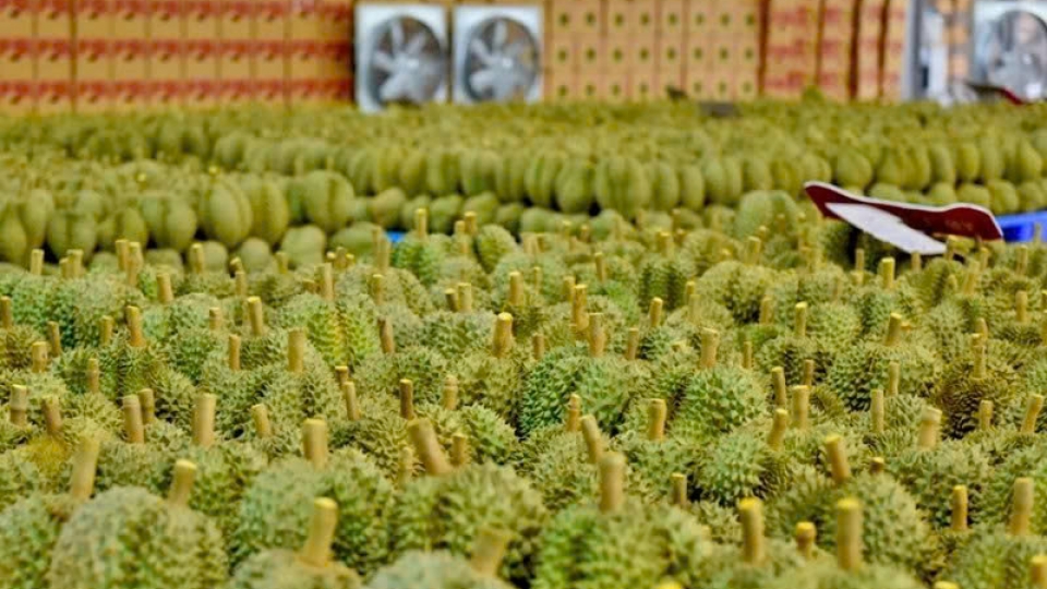 PM directs measures to boost farm produce consumption.jpg