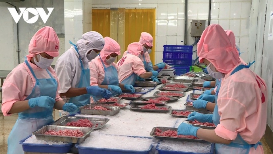 Vietnamese seafood industry works to reduce market dependence