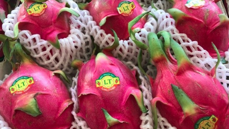 Vietnam, UK deepen agricultural partnership through stronger business links