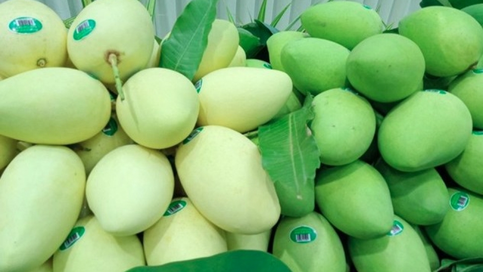Vietnam’s agricultural exports move beyond low-cost competition