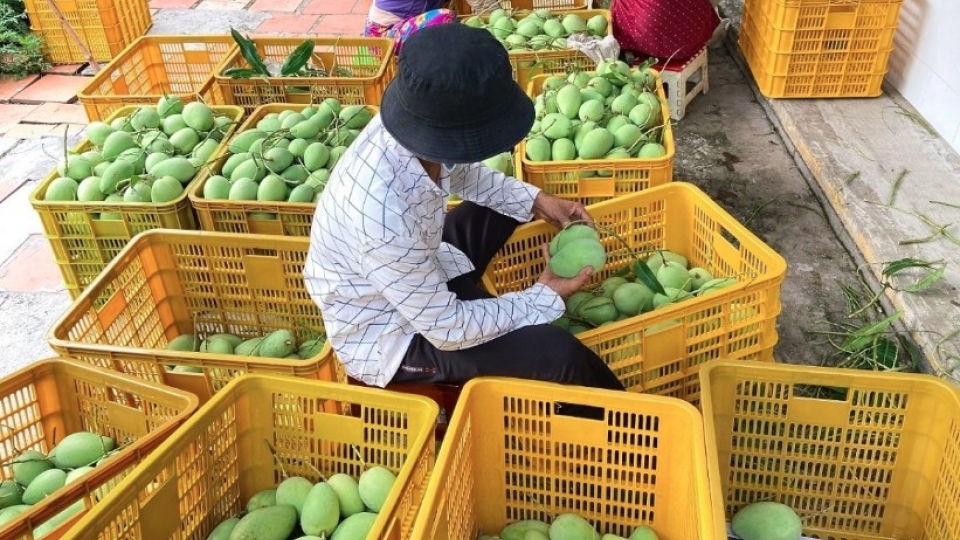 Four-month farm exports show steady gains