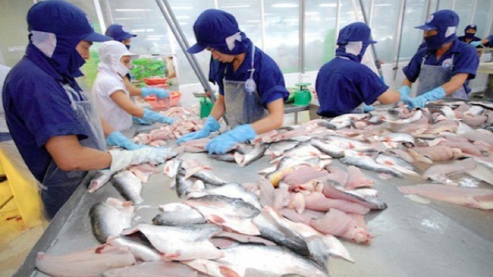 Tra fish exports to Brazil total US$55 million by mid-April