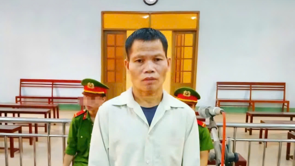 bi_cao_nay_nhip_tai_toa_.jpg