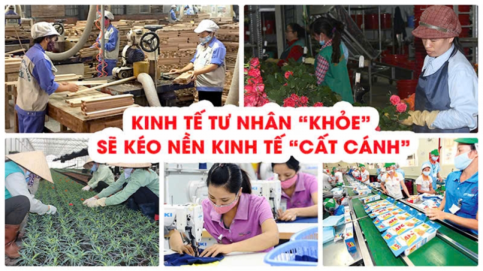kt_67dd5616d4738.jpg