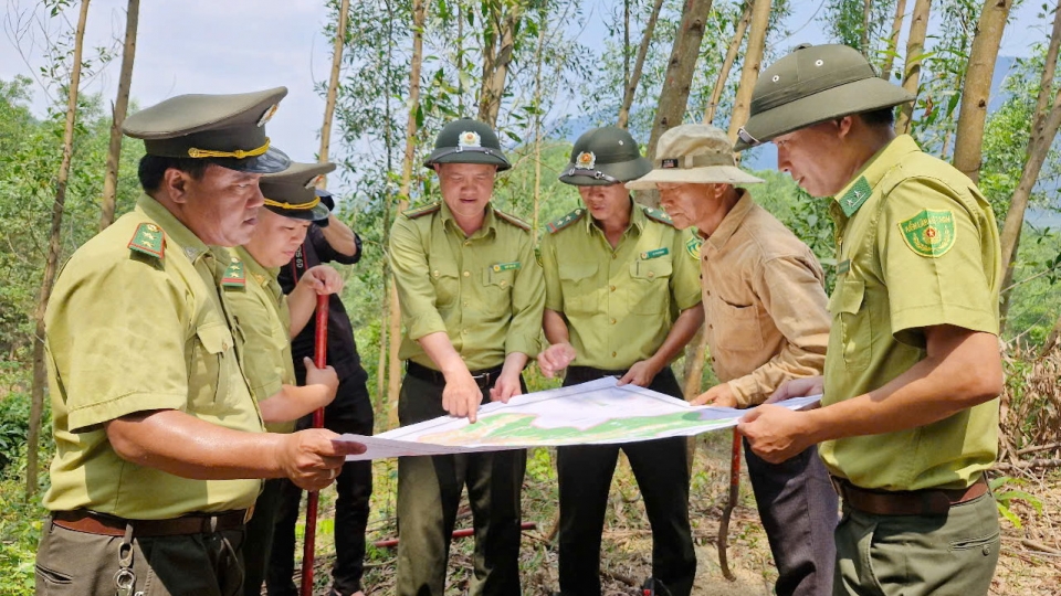 luc_luong_kiem_lam_huyen_hoa_vang_tp_da_nang_vao_rung_kiem_tra_cong_tac_phong_chay_chua_chay_rung.jpg