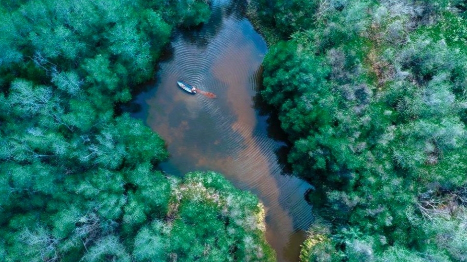 Photos of Vietnam nominated at World Food Photography Awards 2025