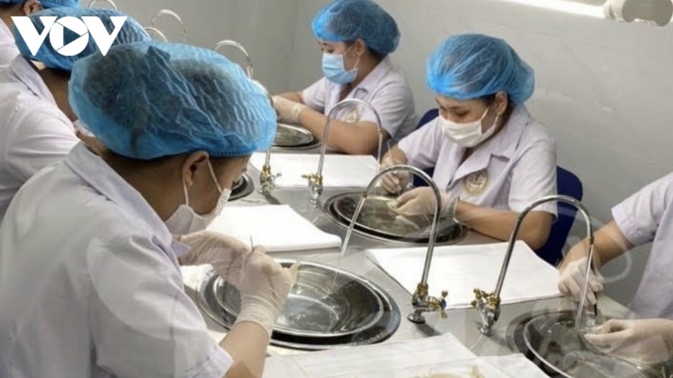 Millions of 'Made-in-Vietnam' bird's nest products sold to China