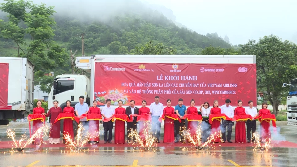 1_2_tan_man_hau_son_la_tiep_tuc_len_cac_chuyen_bay_cua_viet_nam_airline_va_vao_he_thong_phan_phoi_cua_sai_gon_coop_go_wincommere_20250610112127.jpg