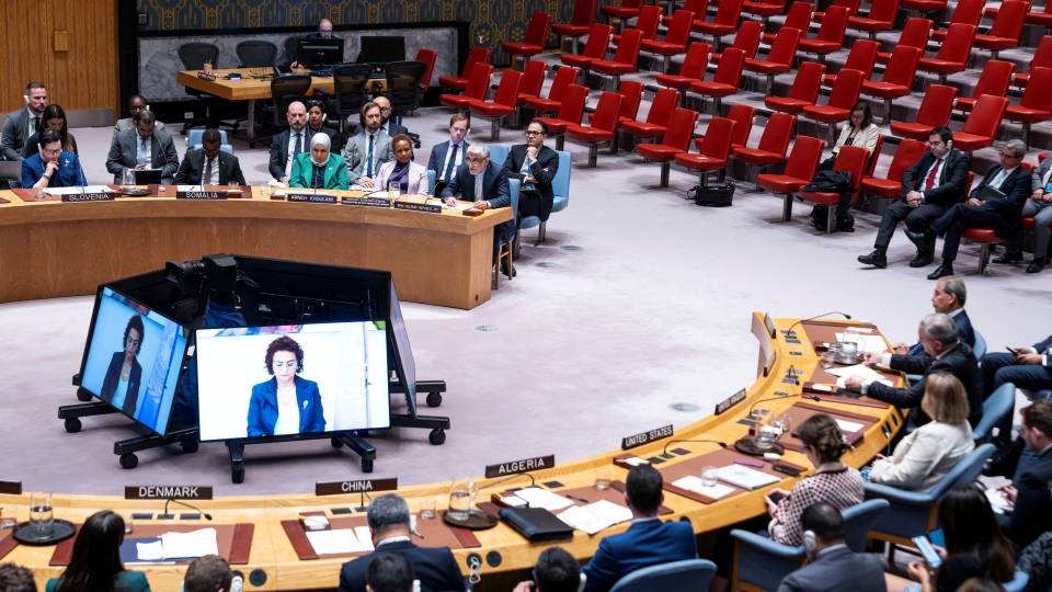 2025-06-17T171310Z_1943341379_RC2H4FAA5GHP_RTRMADP_3_IRAN-NUCLEAR-UN.JPG