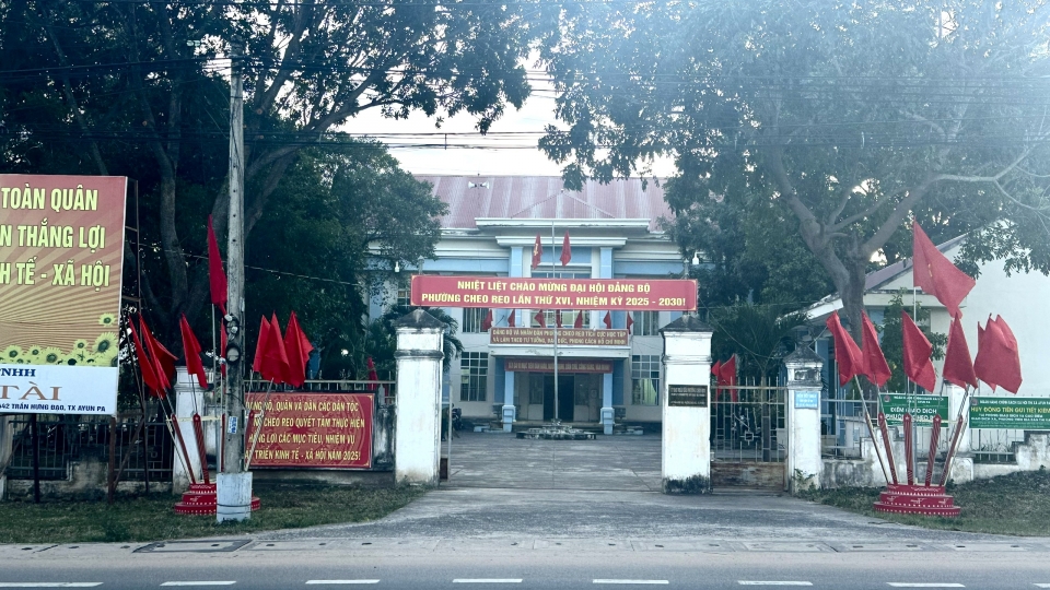 25-6-loat_cay_lon_o_cong_so_bi_chat_ha_dem_ban_truoc_ngay_sap_nhap_o_gia_lai-_anh_4.jpg