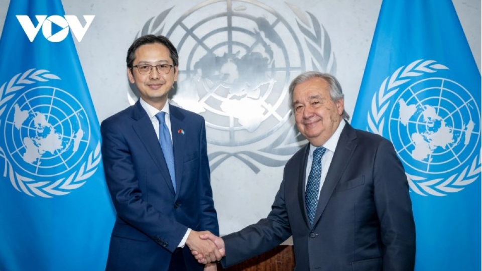 Ambassador Do Hung Viet and United Nations Secretary-General Antonio Guterres pict1.jpg