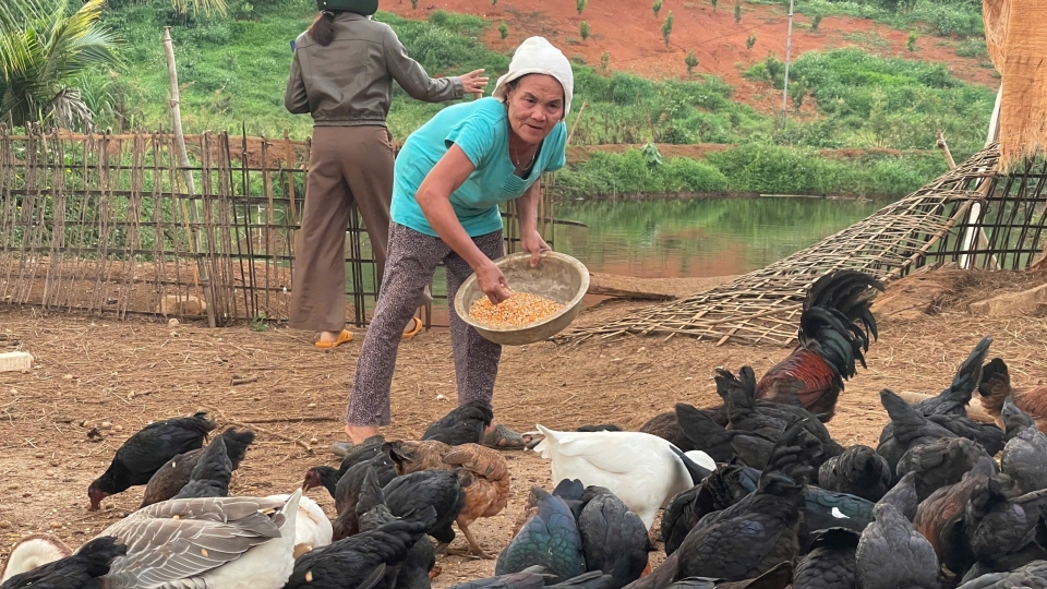 Giam ngheo Dak Nong 5.jpg