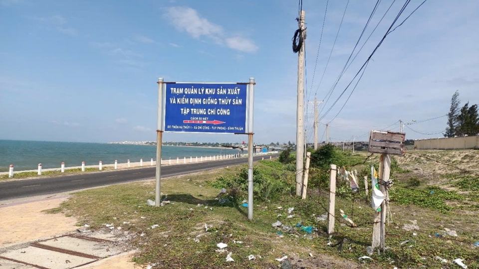 Khu vực dự án.jpg