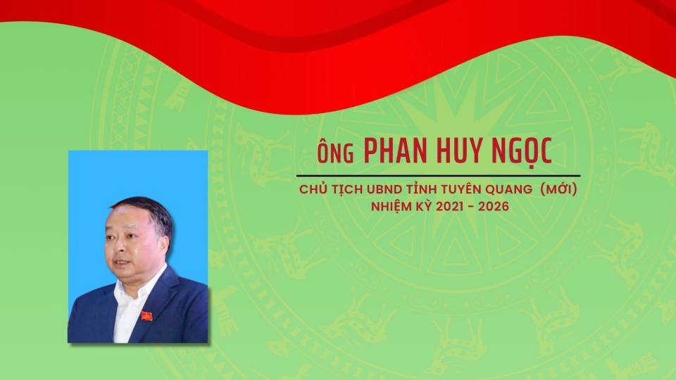 Phan huy ngoc-cover.jpg