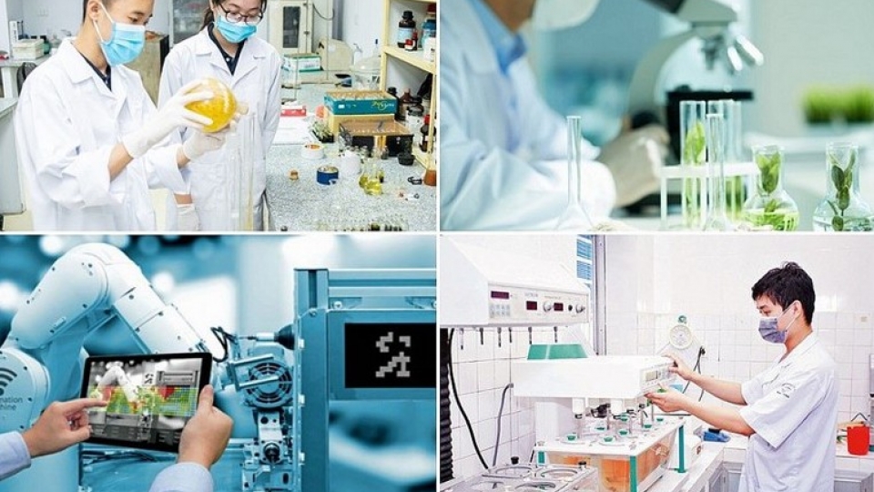 Vietnamese lecturers join Russia’s high-tech summer training program
