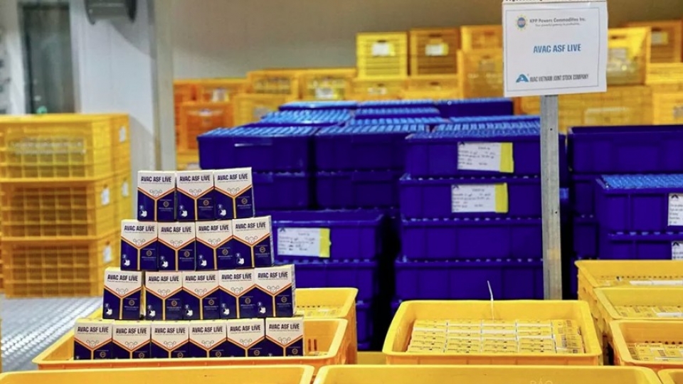Vietnam to soon export first batch of ASF vaccine to Indonesia