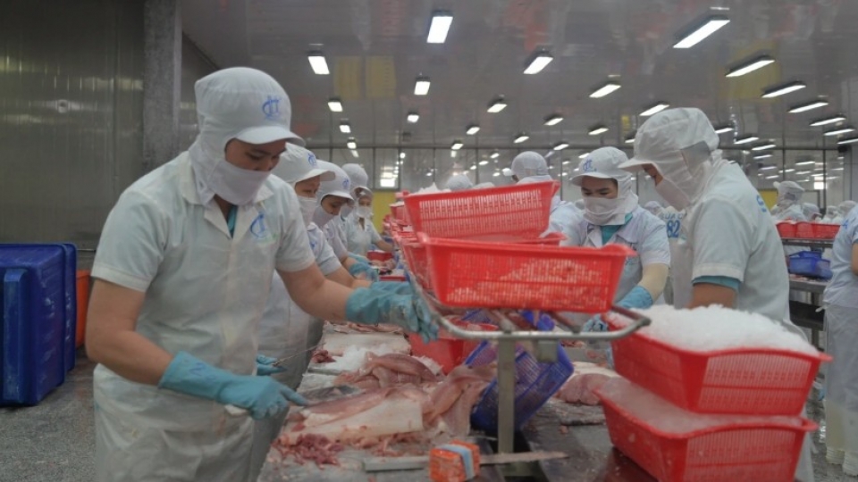 US exempts seven Vietnamese tra fish exporters from anti-dumping duties