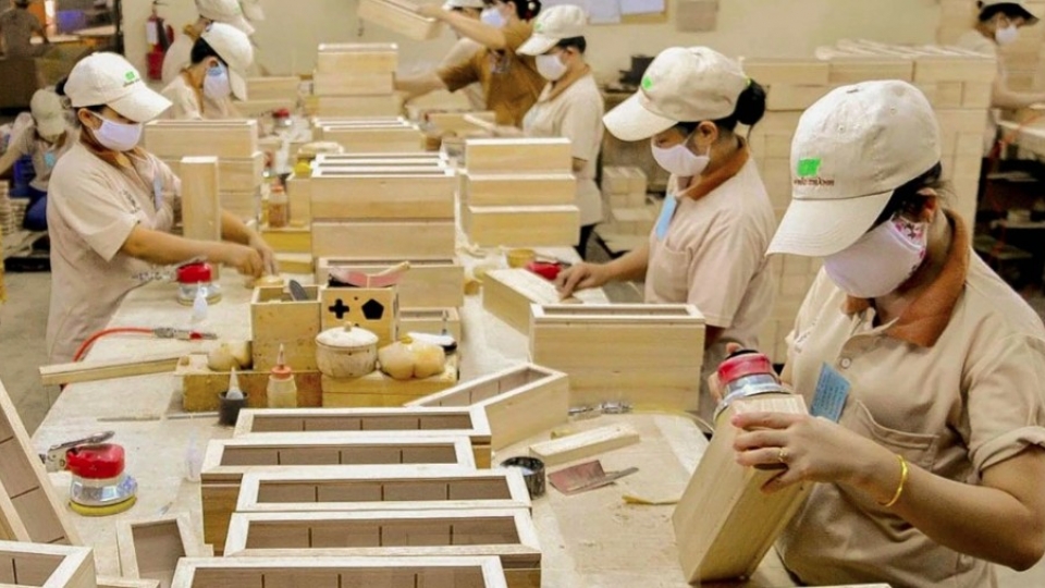 US considers anti-dumping probe into plywood imports from Vietnam