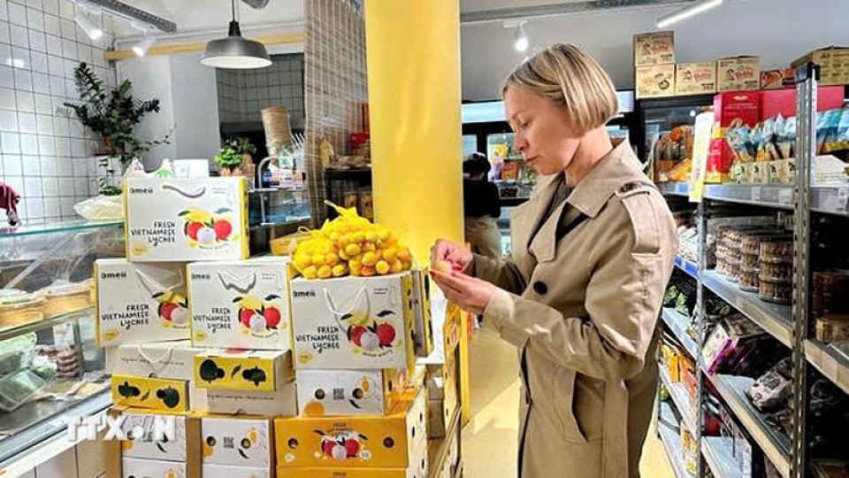 Vietnamese lychees hit Viet-Phap market shelf.jpg