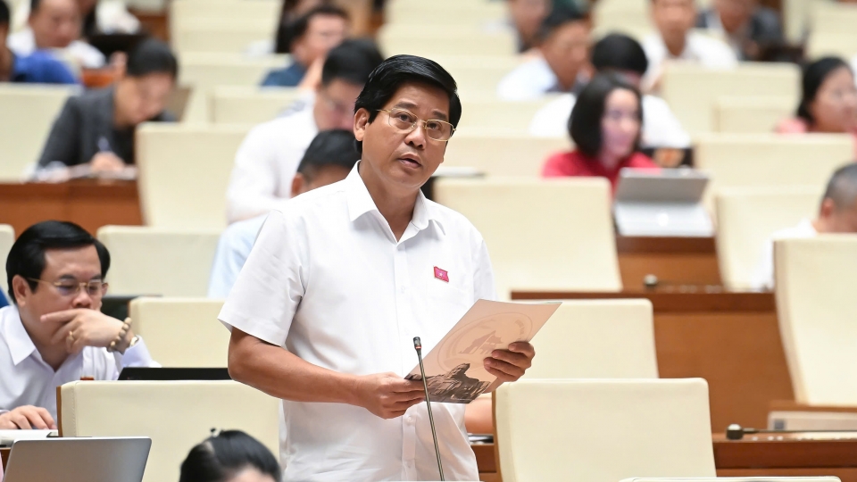 dai_bieu_duong_van_phuoc_-_doan_dbqh_tinh_quang_nam.jpg