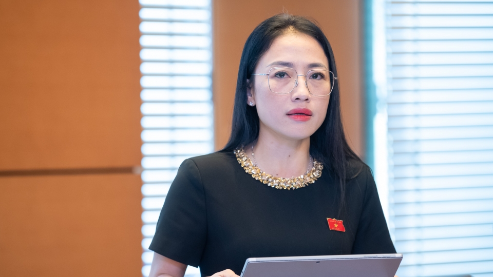 dai_bieu_tran_khanh_thu_-_doan_dbqh_tinh_thai_binh.jpg