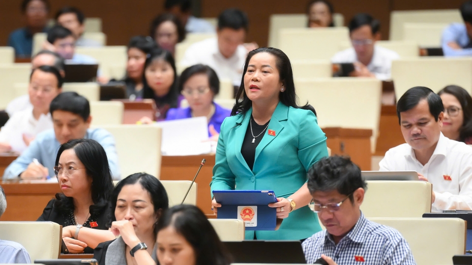 dai_dien_le_thi_thanh_lam_-_doan_dbqh_tinh_hau_giang.jpg