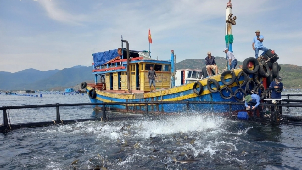 moi ttruong bien 3.jpg