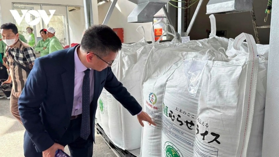 Australia becomes second importer of Vietnam’s low-emission rice