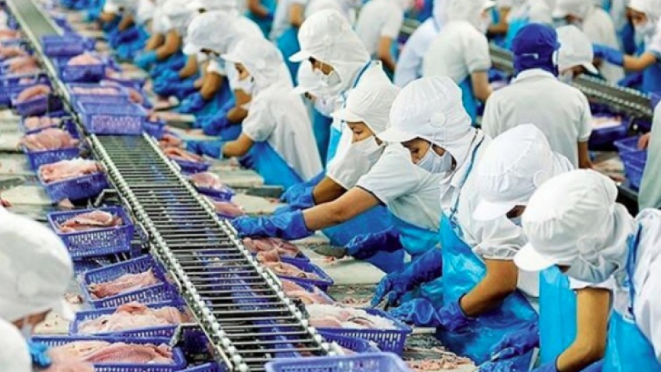 seafood exports.jpg