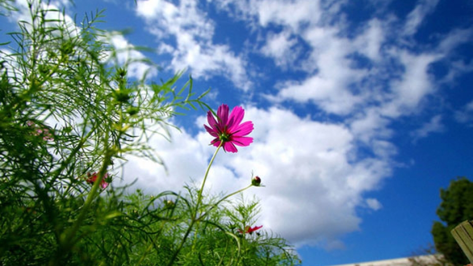 thoi_tiet_ngay_mai_24-6.jpg