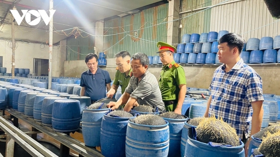 thuc-pham-hoa-chat_-1.jpg