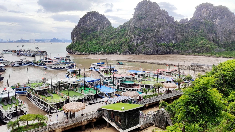 6_thang_dau_nam_20250702165802.jpg