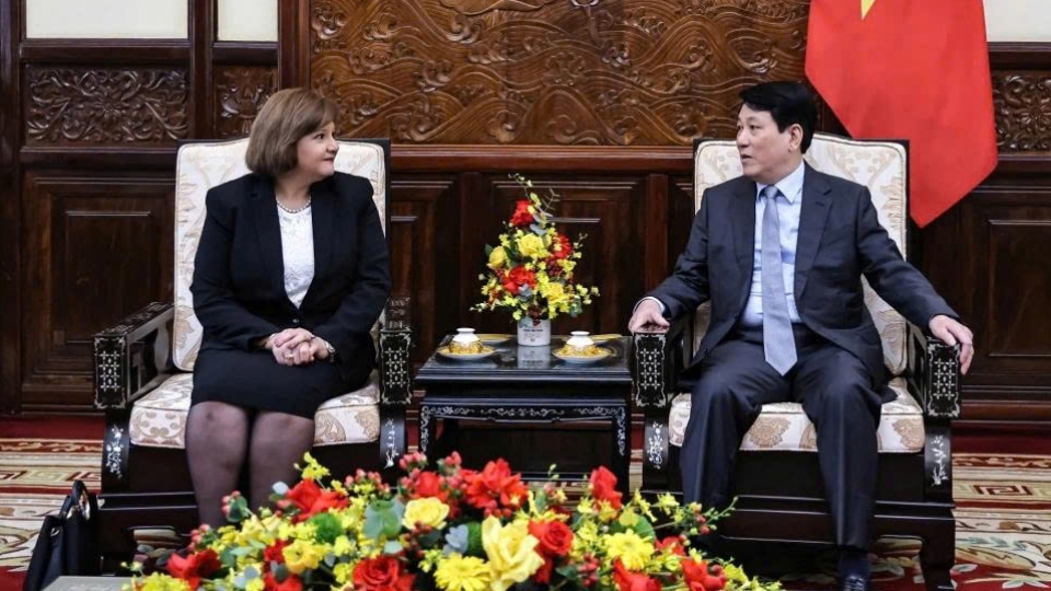 President Luong Cuong and Egyptian Ambasador Amal Abdel Kader Elmorsi Salama 1.jpg