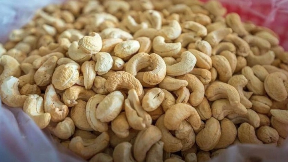 Cashew industry targets US$4.5 billion in exports for 2025