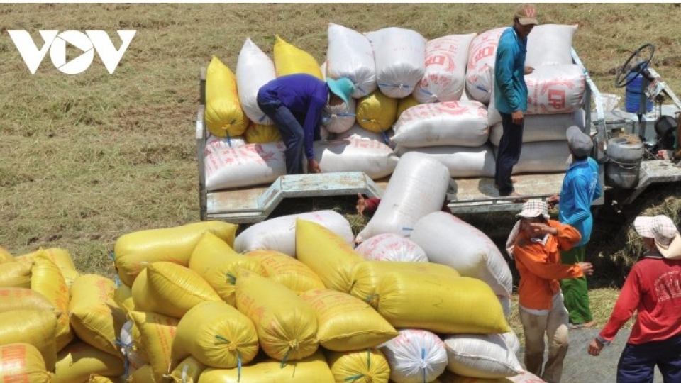 Rice industry sets sights on US$5.7 billion export target amid price pressure