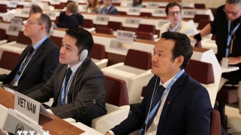 Vietnam participates in Norway’s Trade Policy Review at the WTO.jpg