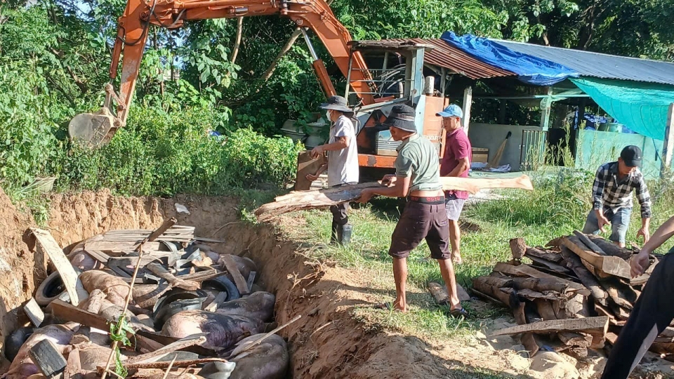 Gia Lai tập trung kiểm soát dịch tả lợn châu Phi