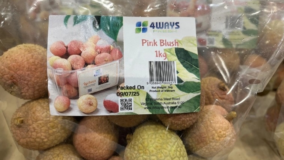 bags_of_fresh_vietnamese_lychees_on_sale_at_costco_lidcombe_sydney.jpg